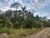 Chácara, 2 hectares - Foto 4
