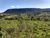 Chácara, 2 hectares - Foto 1