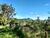 Chácara, 2 hectares - Foto 4