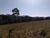 Terreno, 2 hectares - Foto 4