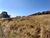 Terreno, 2 hectares - Foto 1
