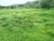 Chácara, 4 hectares - Foto 3