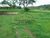Chácara, 4 hectares - Foto 1