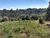Chácara, 1 quarto, 2 hectares - Foto 1