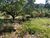 Chácara, 1 quarto, 2 hectares - Foto 2