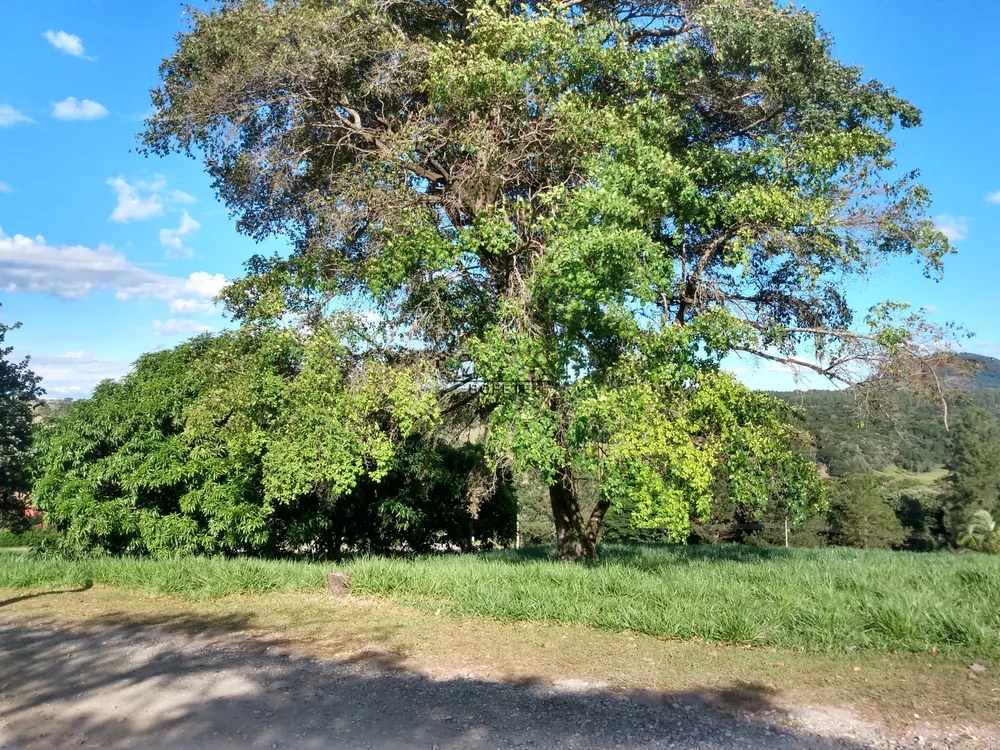 Terreno à venda, 1750m² - Foto 3