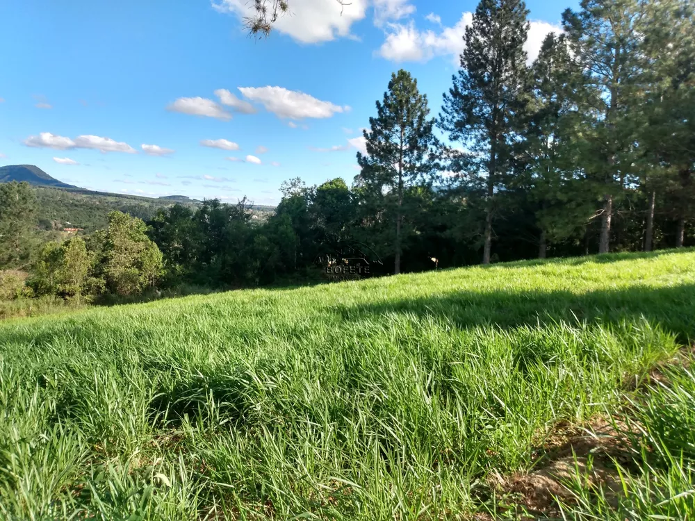 Terreno à venda, 1750m² - Foto 2