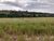 Terreno, 300 m² - Foto 1