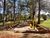 Terreno, 2000 m² - Foto 5