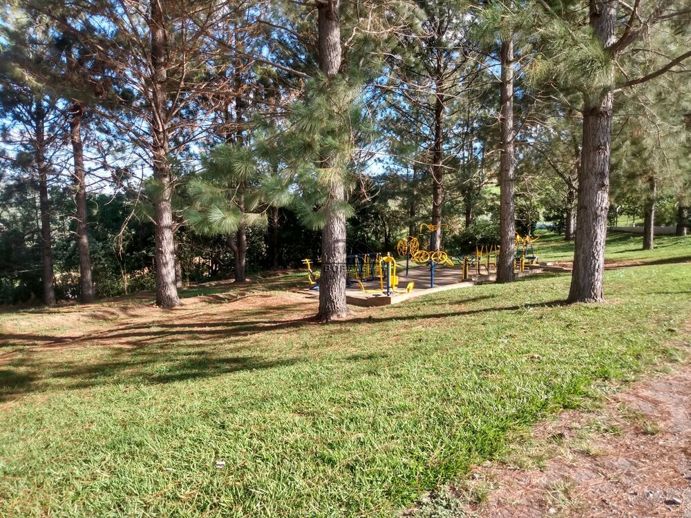 Casa à venda com 2 quartos, 1500m² - Foto 7