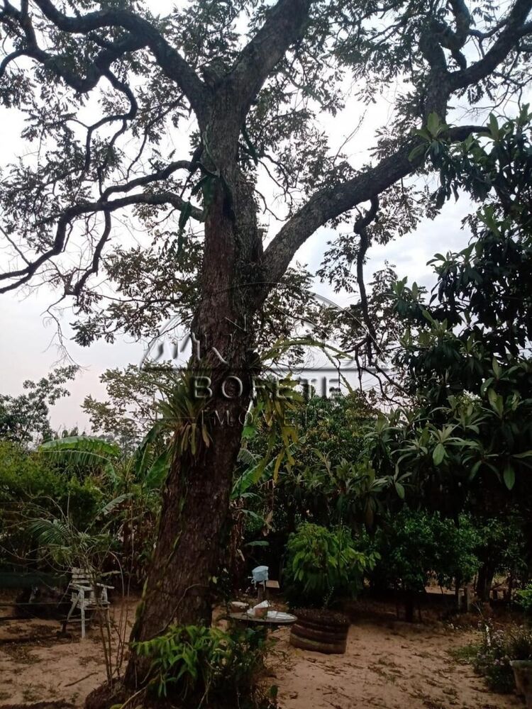 Chácara à venda com 3 quartos, 1500m² - Foto 4