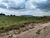 Terreno, 300 m² - Foto 1