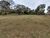Sítio, 2 hectares - Foto 3