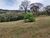 Sítio, 2 hectares - Foto 2