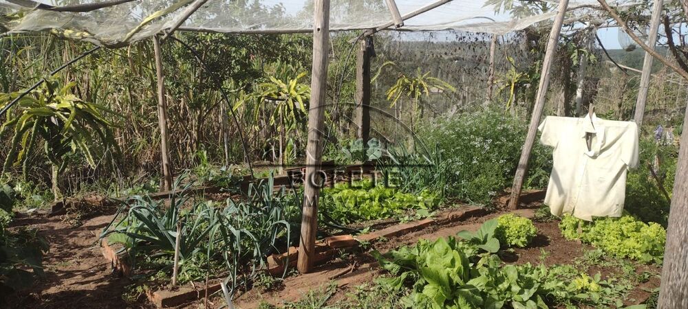 Chácara à venda com 3 quartos, 22800m² - Foto 7