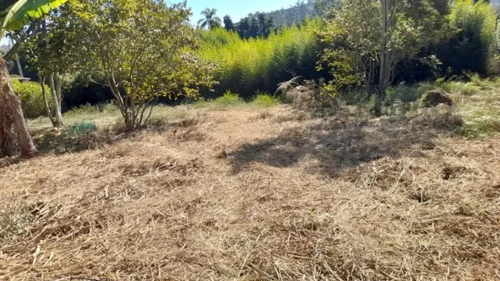 Terreno - Foto 3