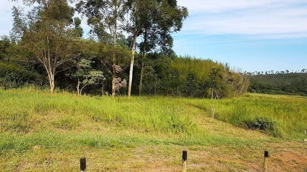 Terreno, 4 hectares - Foto 32