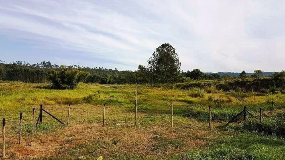 Terreno, 4 hectares - Foto 20