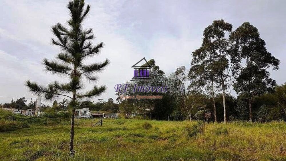 Terreno, 4 hectares - Foto 2