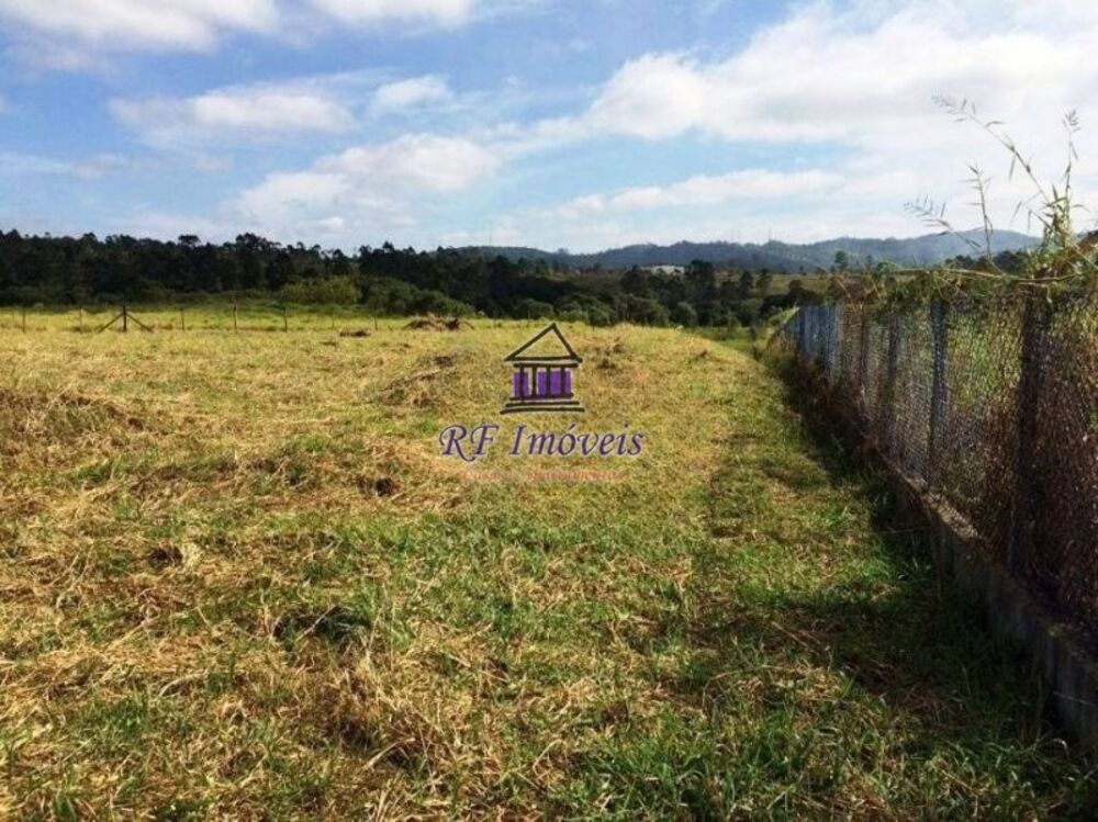 Terreno, 4 hectares - Foto 8