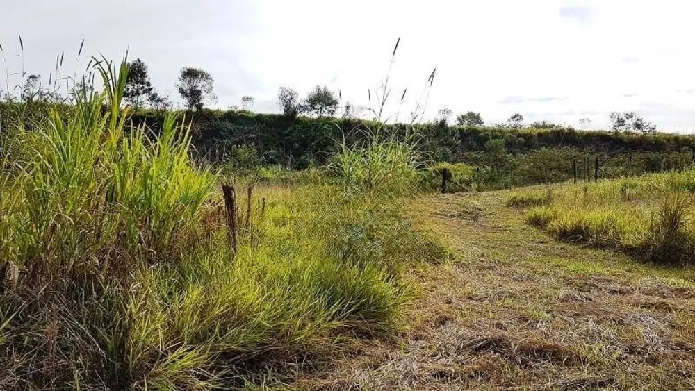 Terreno, 4 hectares - Foto 17
