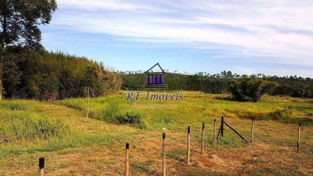 Terreno, 4 hectares - Foto 12