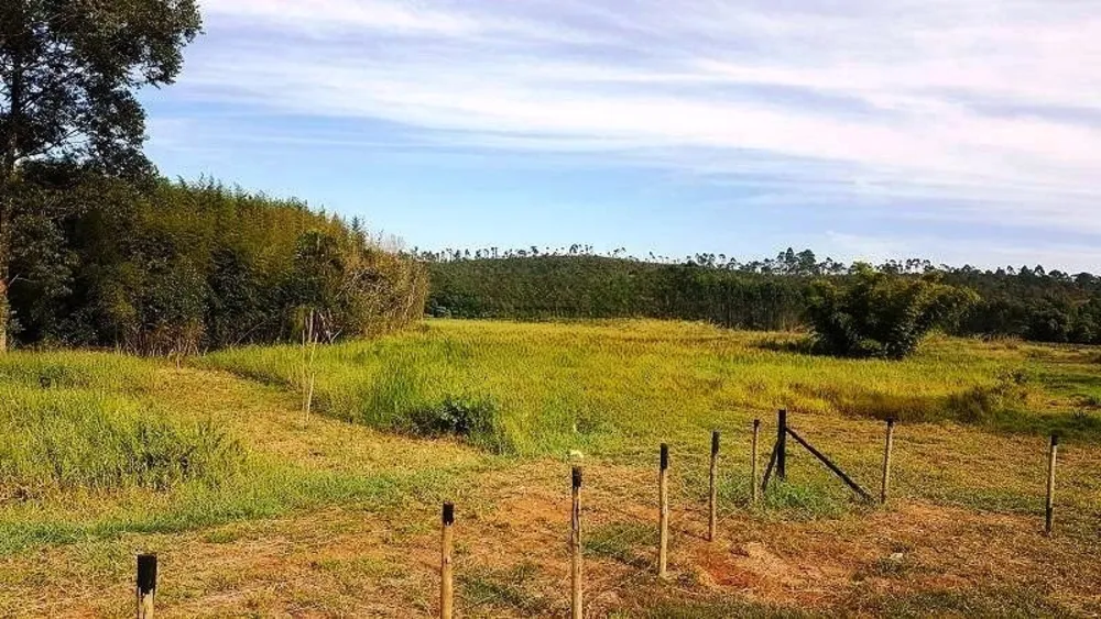 Terreno, 4 hectares - Foto 18