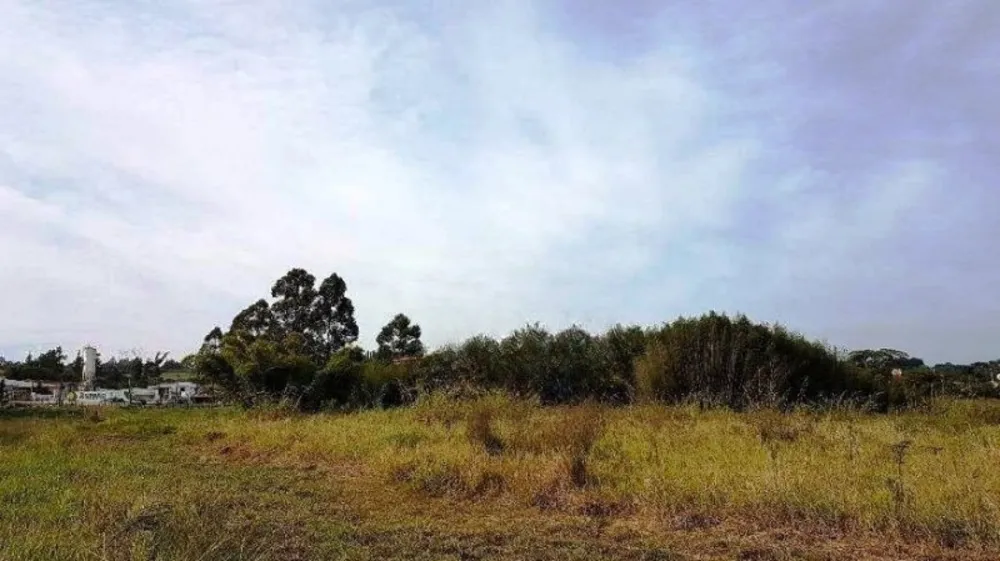 Terreno, 4 hectares - Foto 24