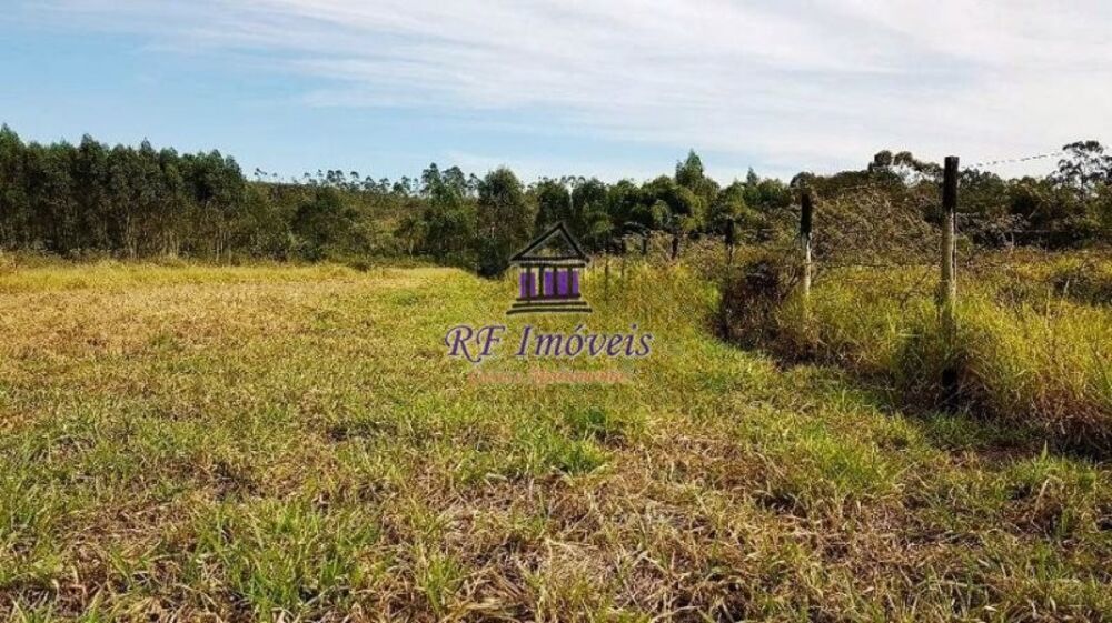 Terreno, 4 hectares - Foto 9