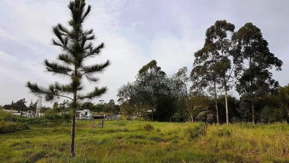 Terreno, 4 hectares - Foto 29