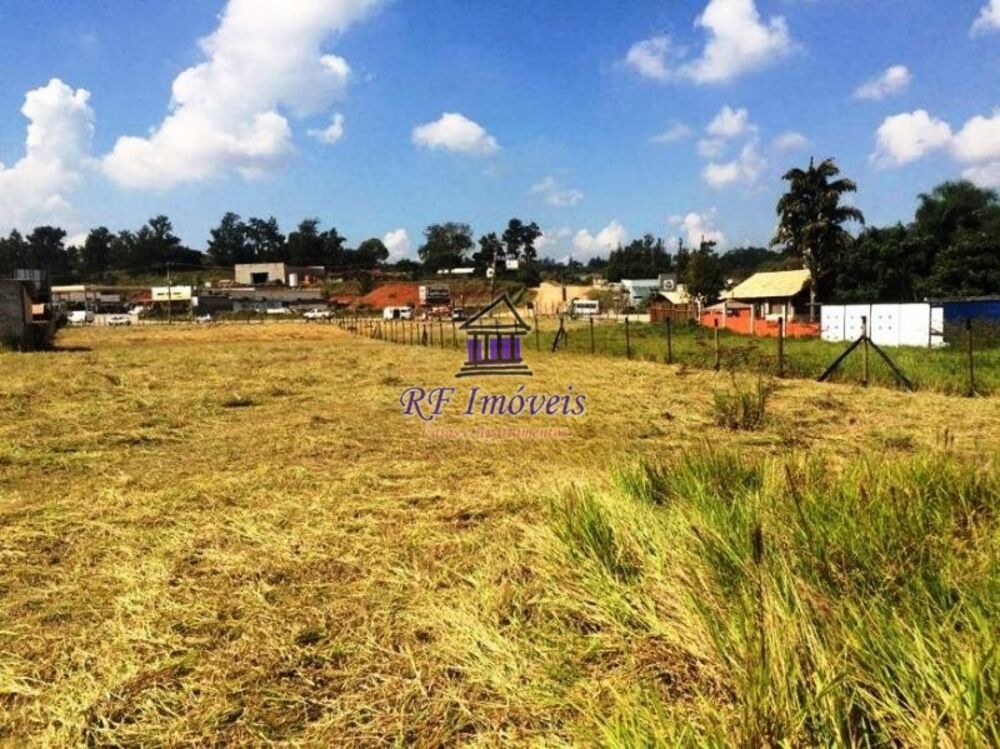 Terreno, 4 hectares - Foto 11
