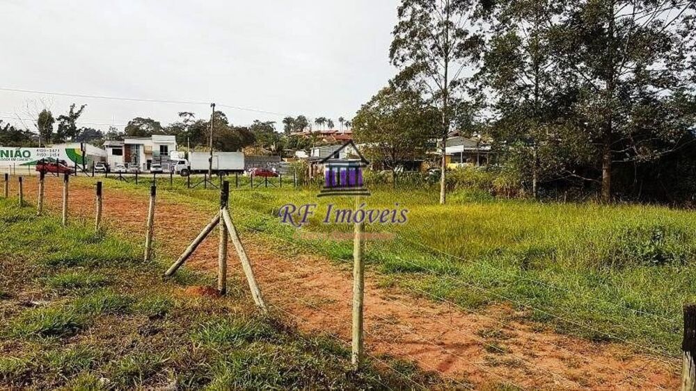 Terreno, 4 hectares - Foto 4
