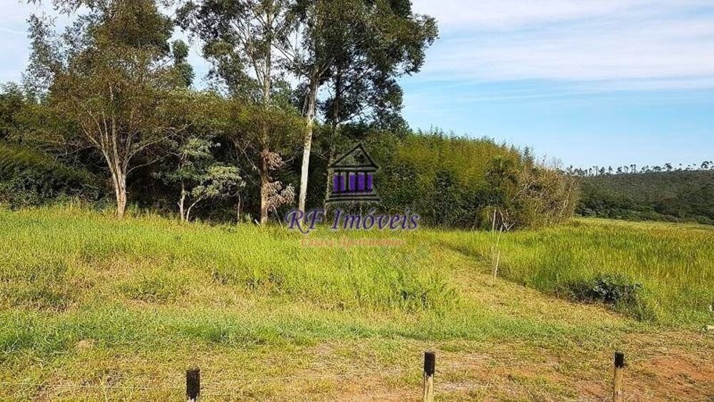 Terreno, 4 hectares - Foto 7