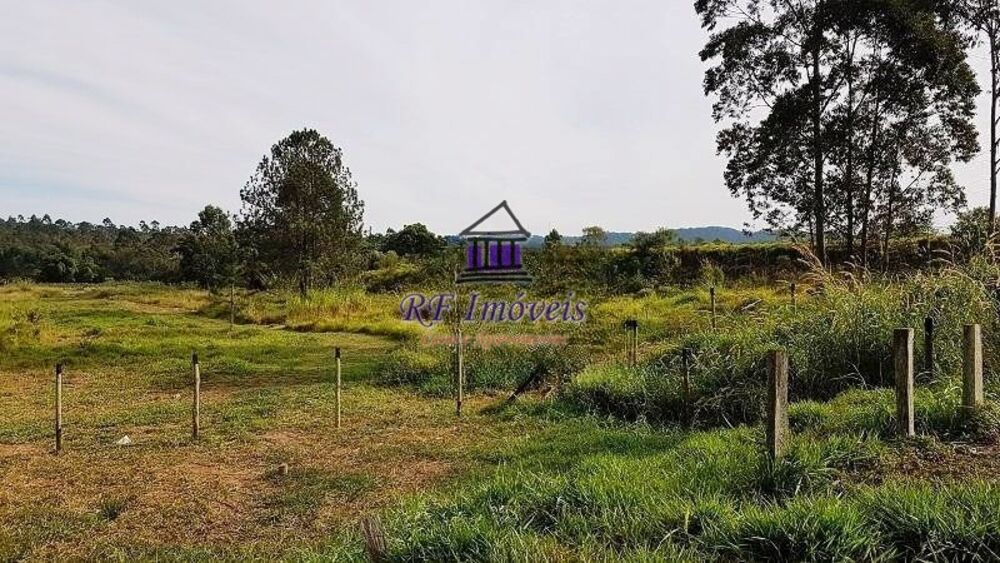 Terreno, 4 hectares - Foto 3
