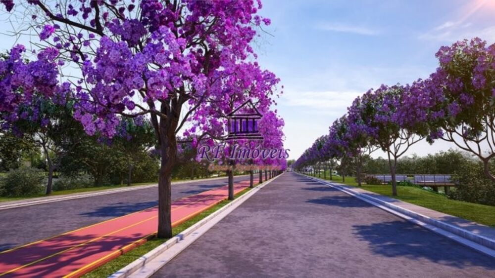 Terreno, 250 m² - Foto 5