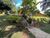 Casa, 4 quartos, 1459 m² - Foto 4