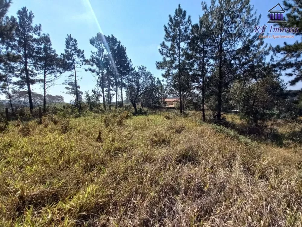 Terreno à venda, 5000m² - Foto 6