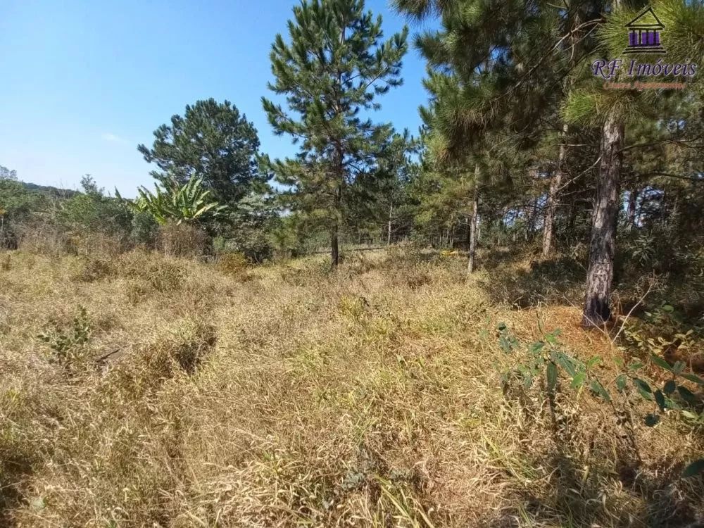 Terreno à venda, 5000m² - Foto 1