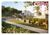 Terreno, 43 hectares - Foto 10