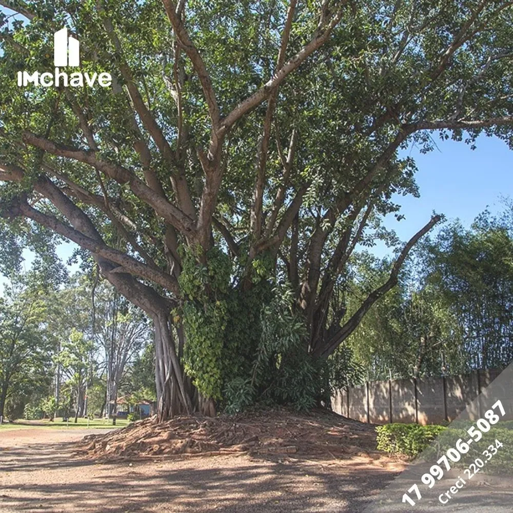 Casa, 4 quartos - Foto 20