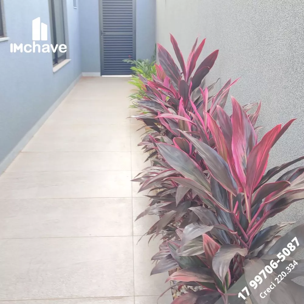 Casa, 3 quartos - Foto 4