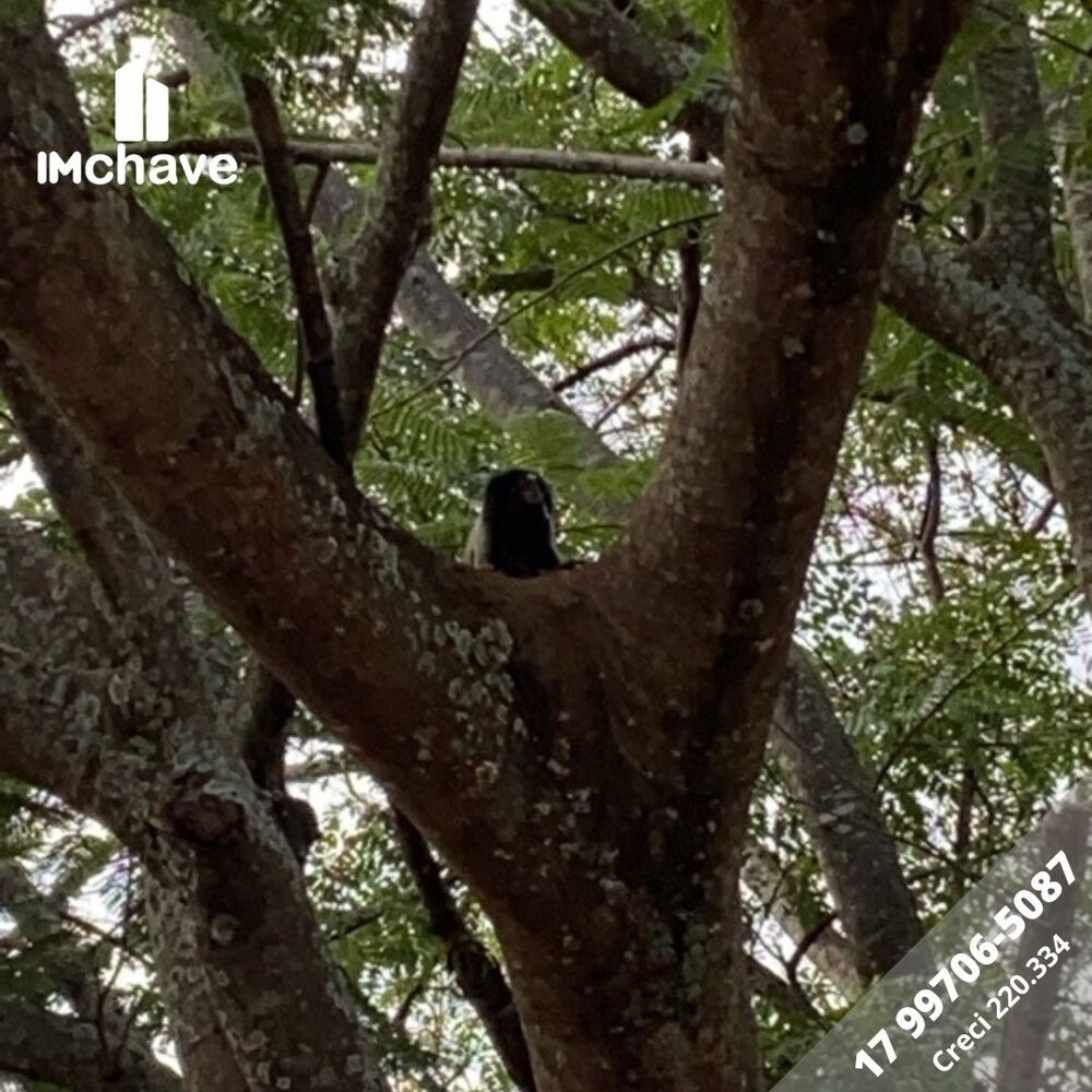 Casa, 3 quartos - Foto 14