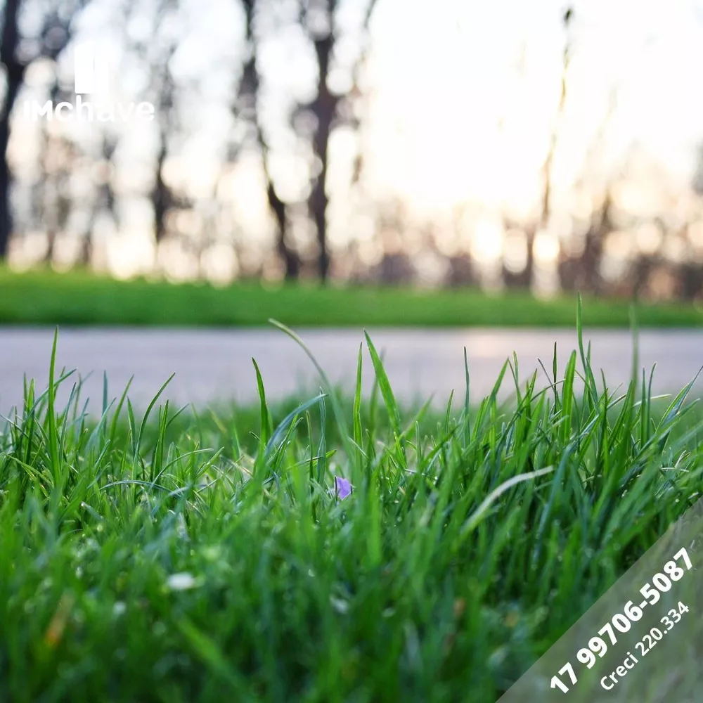 Terreno, 783 m² - Foto 1