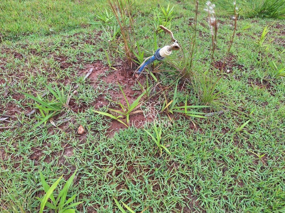 Terreno à venda, 1000M2 - Foto 2