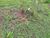 Terreno, 1000 m² - Foto 2