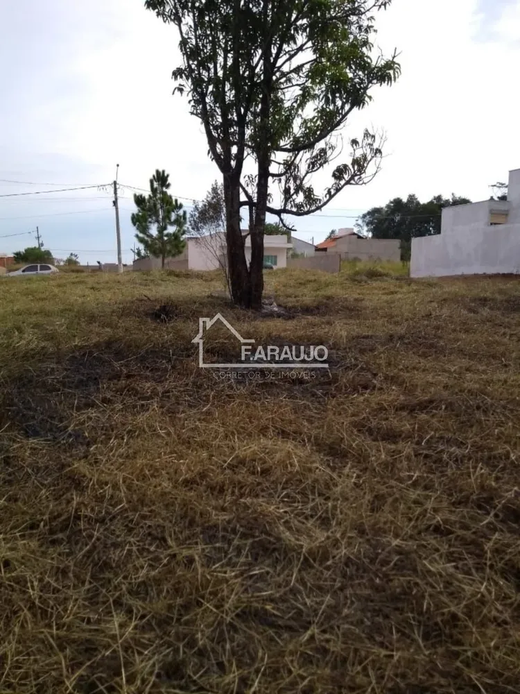 Terreno, 300 m² - Foto 6