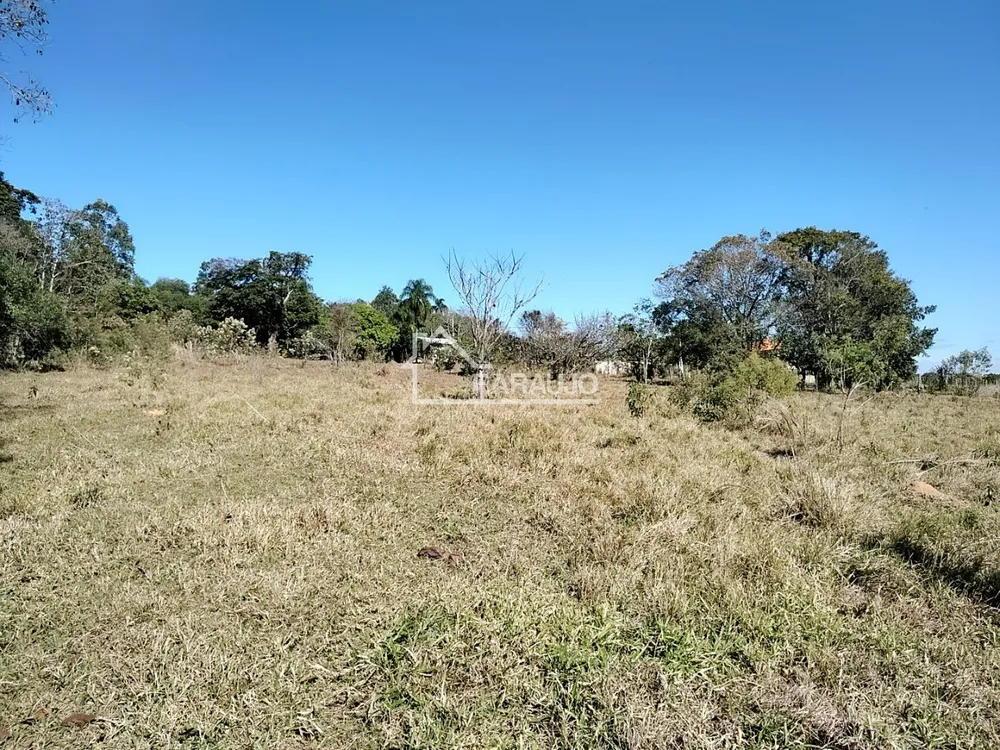 Sítio, 3 quartos, 3 hectares - Foto 11
