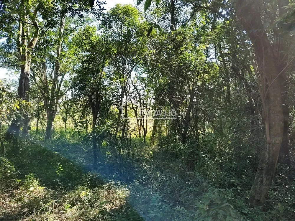 Sítio, 3 quartos, 3 hectares - Foto 9