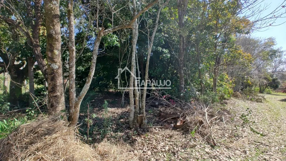 Sítio, 3 quartos, 3 hectares - Foto 1