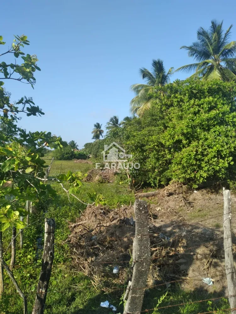 Terreno, 7000 m² - Foto 11